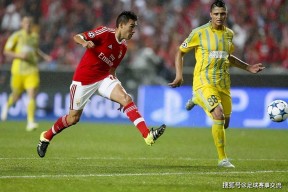 关于德国乒乓球队横扫波兰乒乓球队，水谷隼三分雨点燃全场的信息