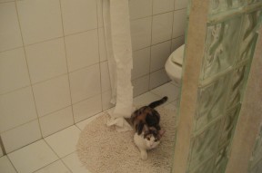 华体会hth-赛道与球场的逆转哲学，当F1街道赛遇见NBA绝地反击