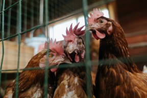 华体会登录-隐形MVP，当霍勒迪把比赛调成了静音模式