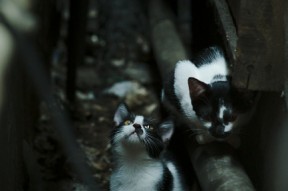 华体会网址-战术棋眼与决胜时刻，从欧冠名局看关键先生如何定义双线争冠