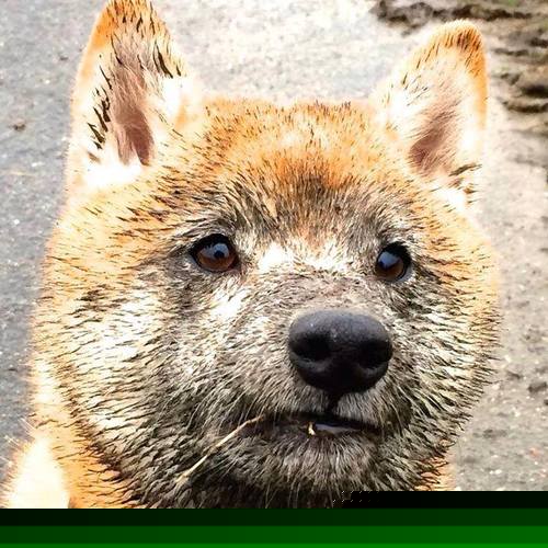 华体会体育-西甲国家德比之夜，范弗利特攻防转换核心  第2张