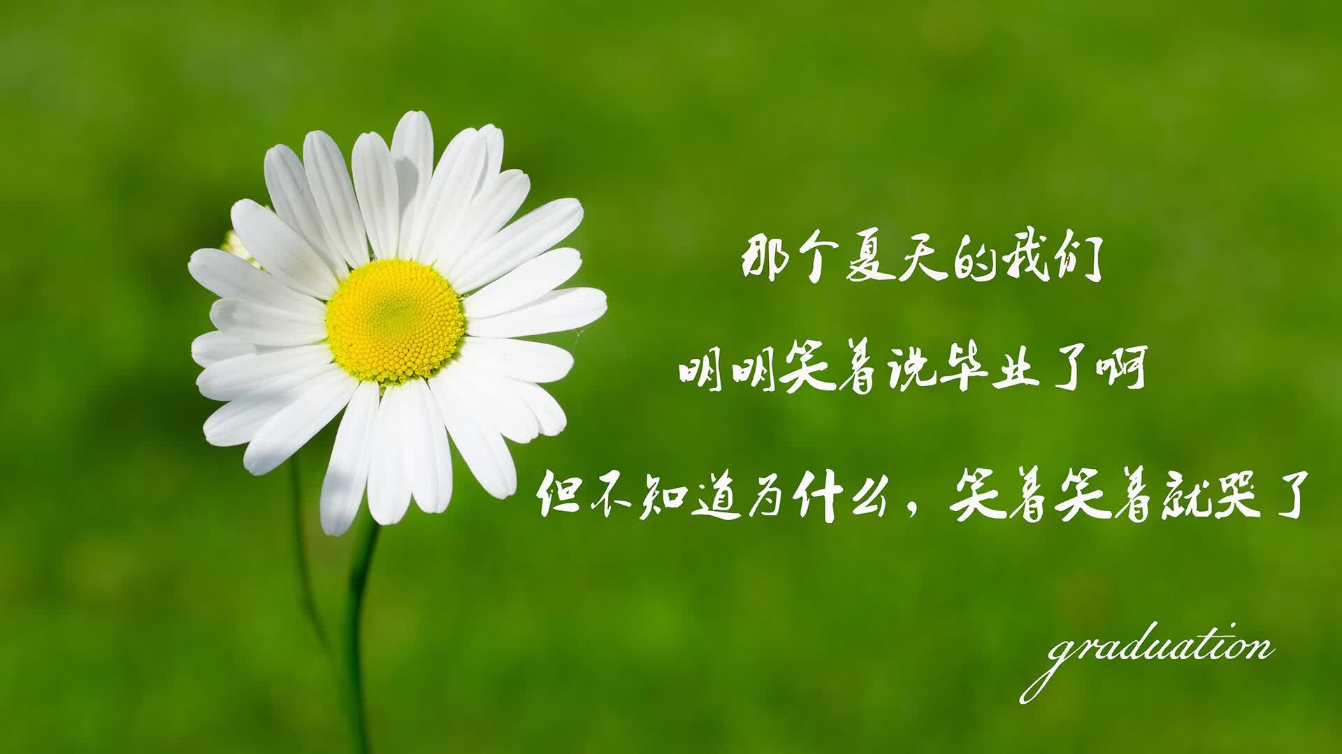 华体会登陆-沙漠之鹰与斗牛士的终极碰撞，2026世界杯巅峰对决，格列兹曼书写唯一传奇  第2张